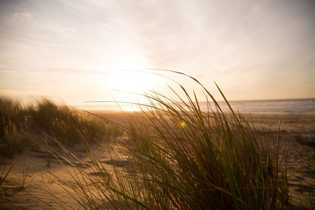 Canva-Landscape-Photography-of-Beach