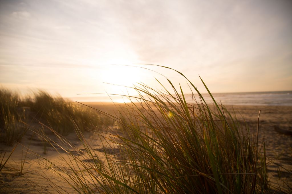 Commitment to our LBI Community